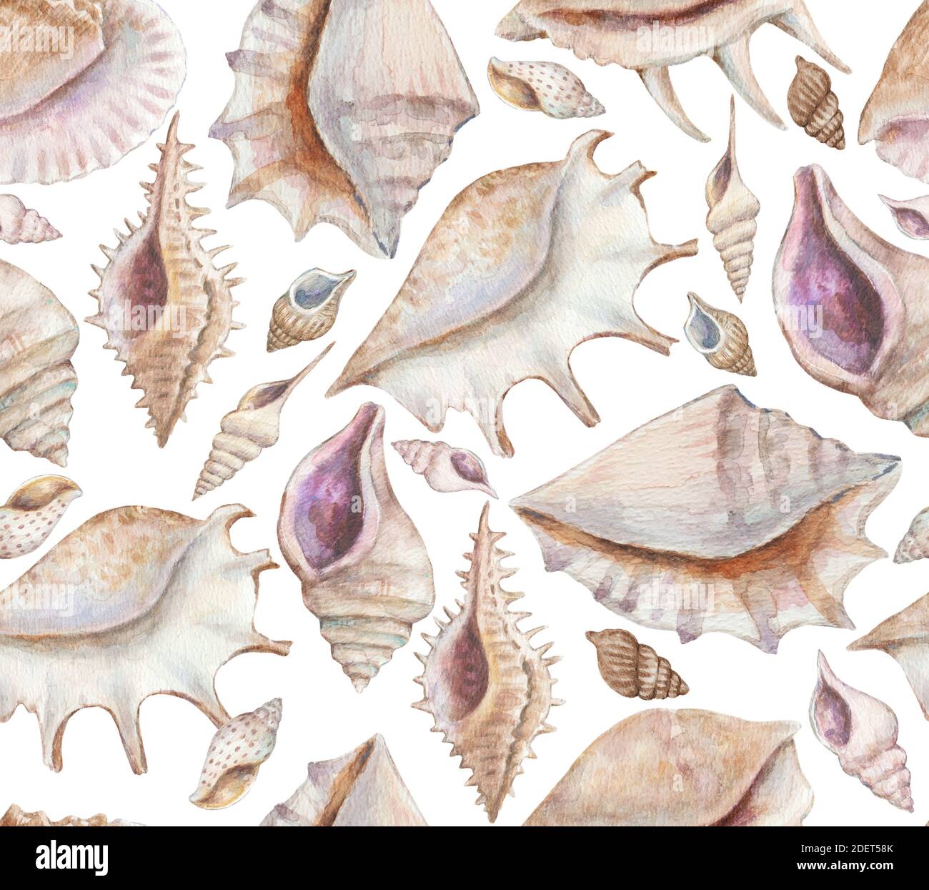 Seamless pattern with sea shells and conchs. Watercolor painting Stock ...