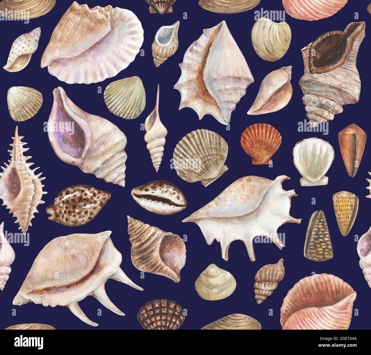 Seamless pattern with sea shells and conchs. Watercolor painting Stock ...