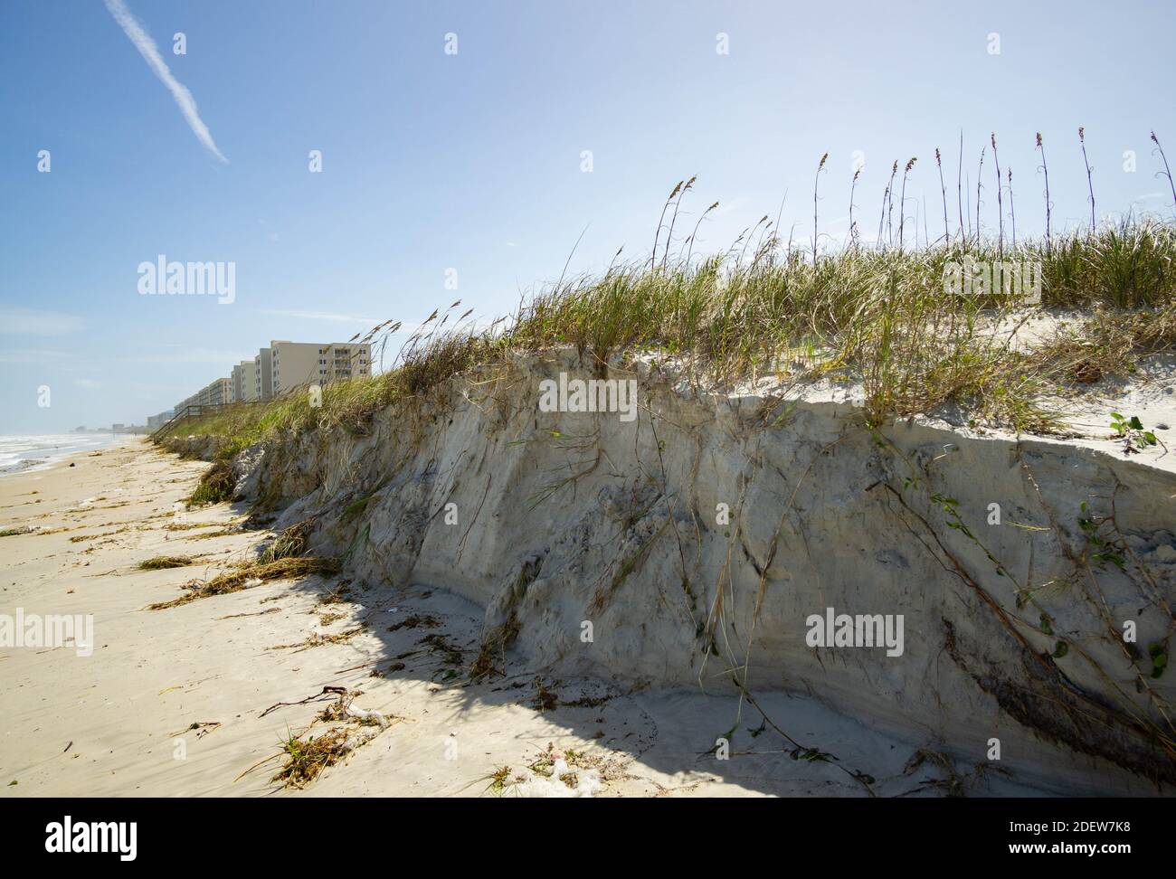 Sep. 21, 2020. Sand dunes suffer serious erosion during hurricanes and tropical storms. This dune shows damage following heavy winds and storm surge. Stock Photo