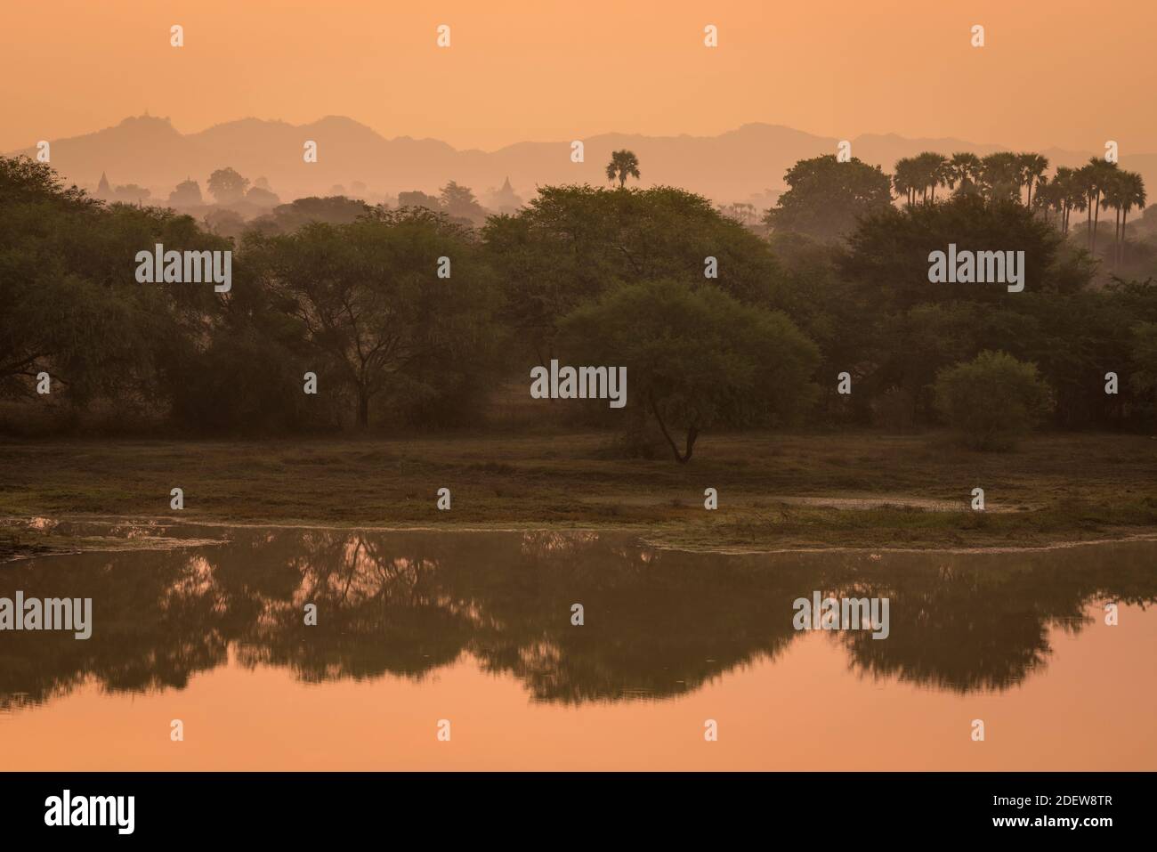 Trees reflecting on lake hi-res stock photography and images - Alamy