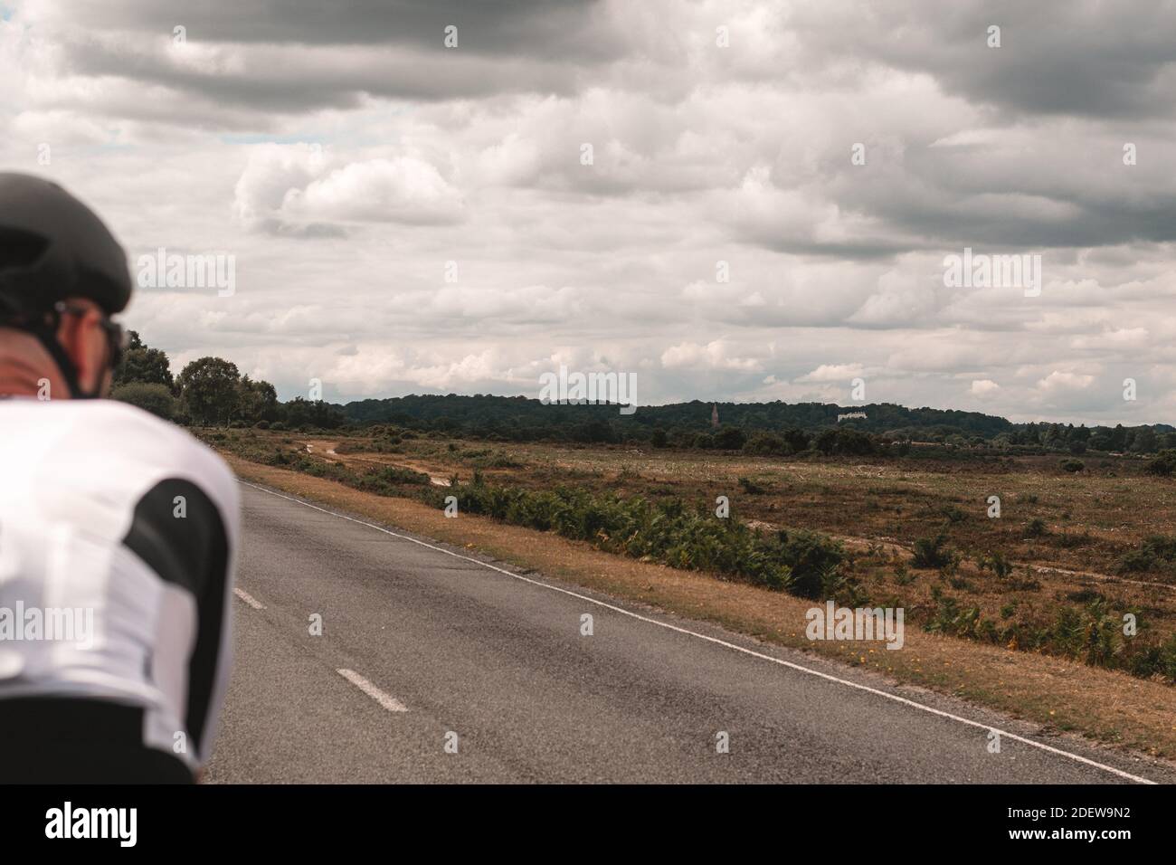 Cyclist looks out across view of the New Forest Stock Photo - Alamy