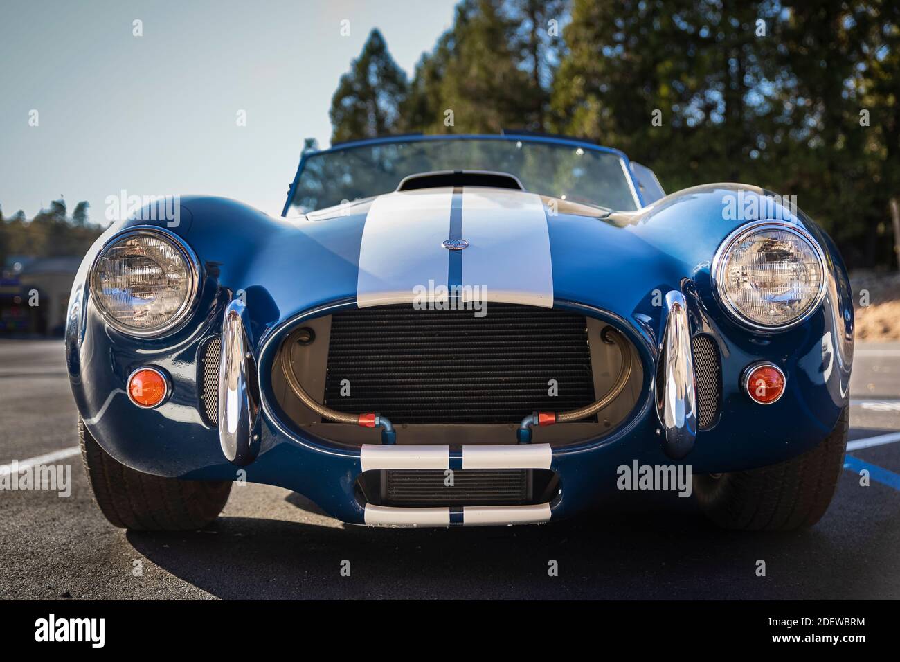 Shelby Cobra голубая