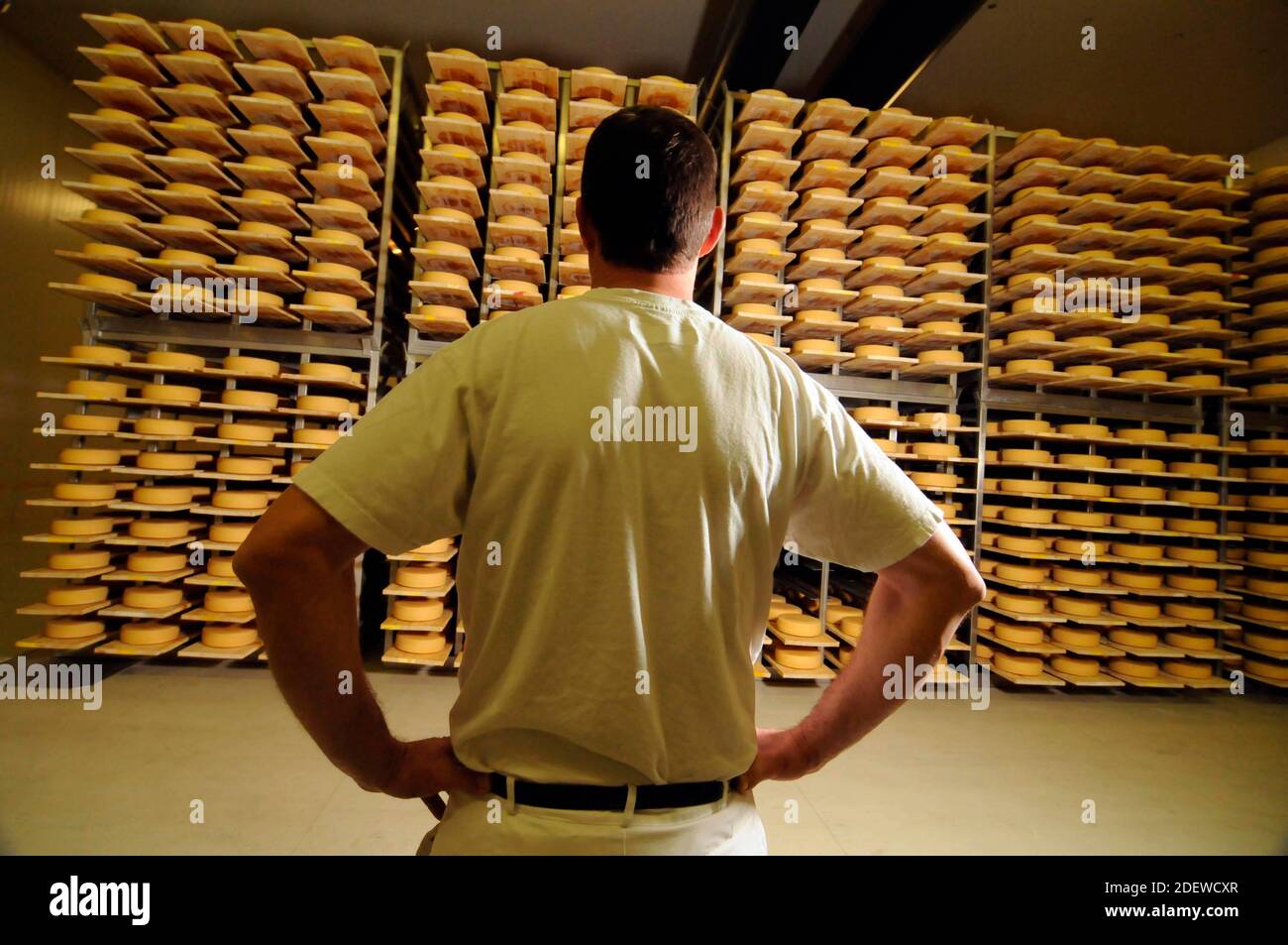 master cheese maker in industrial food production standing in a hall of
