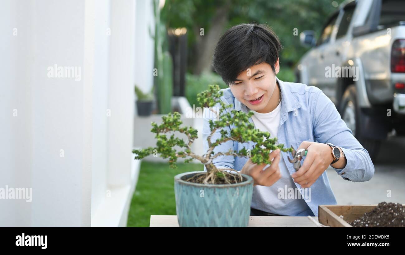 Shot of young man trimming bonsai tree with special scissors for