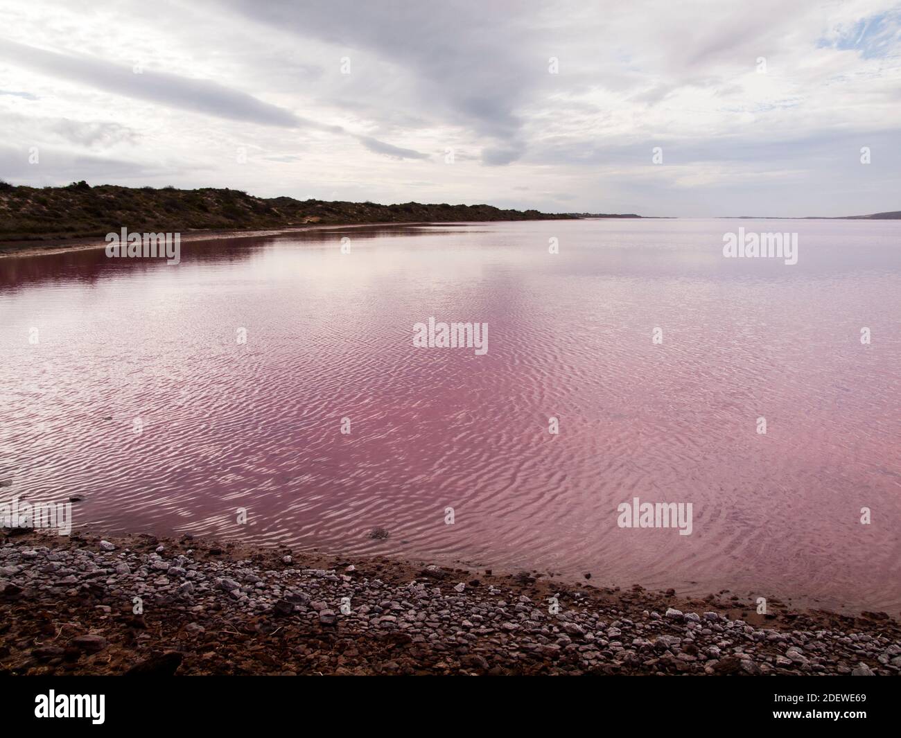 The pink waters of Hutt Lagoon near Port Gregory, Western Australia Stock Photo
