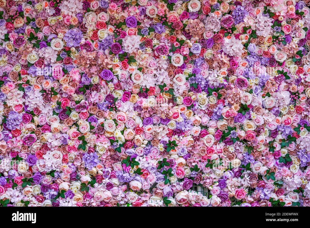 Flower wall background composed of colorful flowers Stock Photo - Alamy