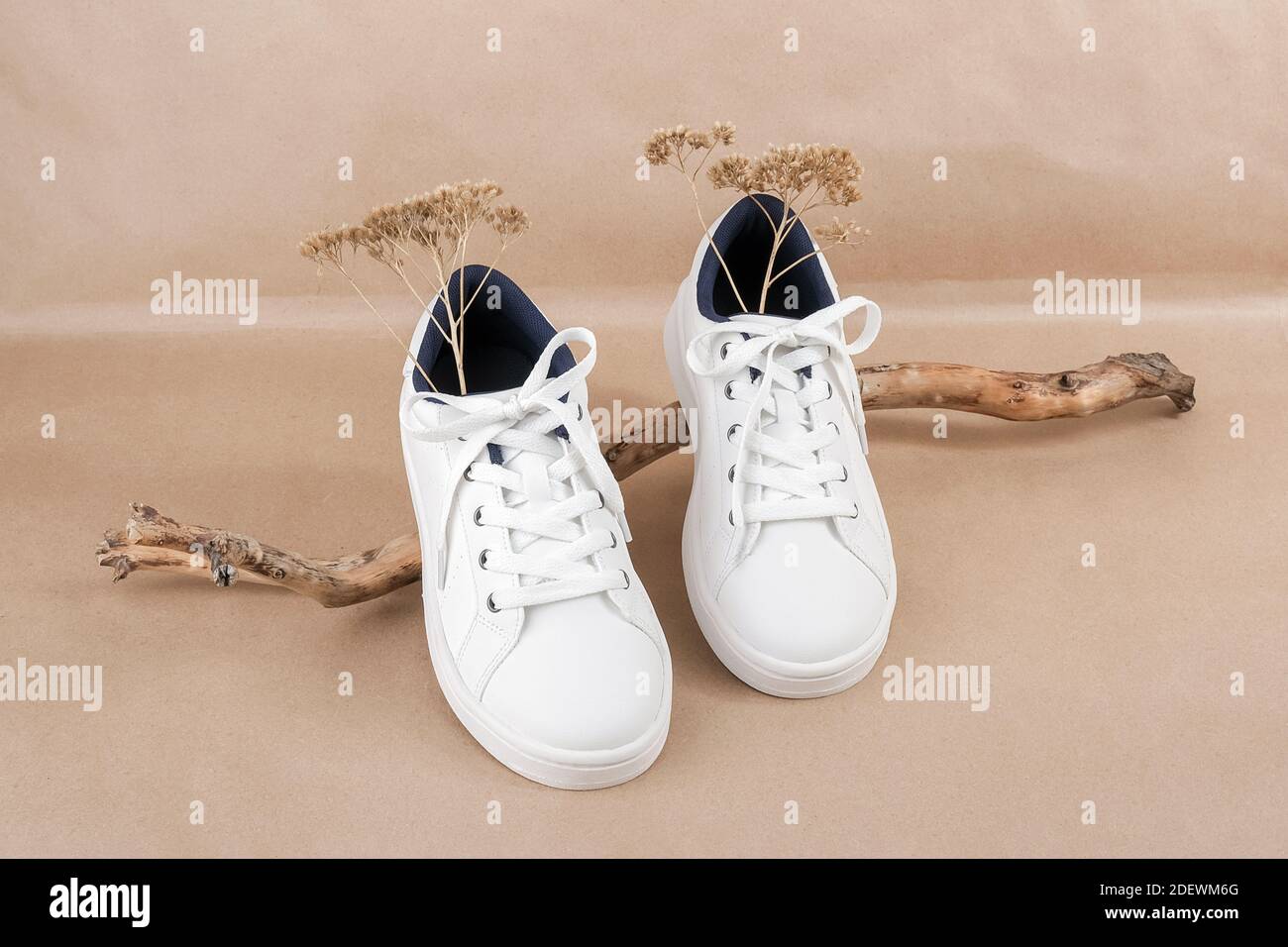 ethical vegan sneakers