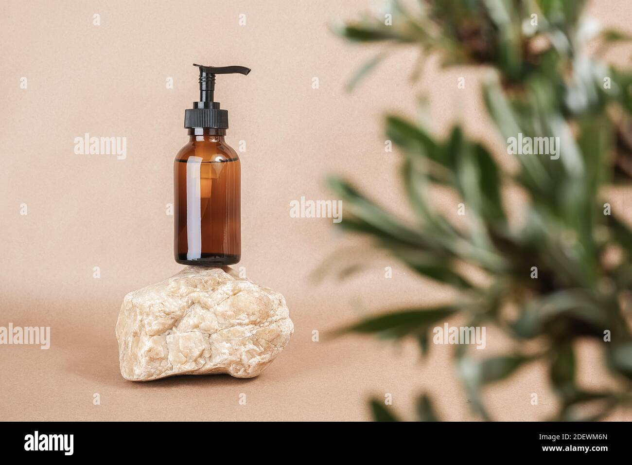 Brown glass bottle with pump of cosmetic products on stone framed by green leaves of branches, beige background. Natural Organic Spa Cosmetic Beauty C Stock Photo