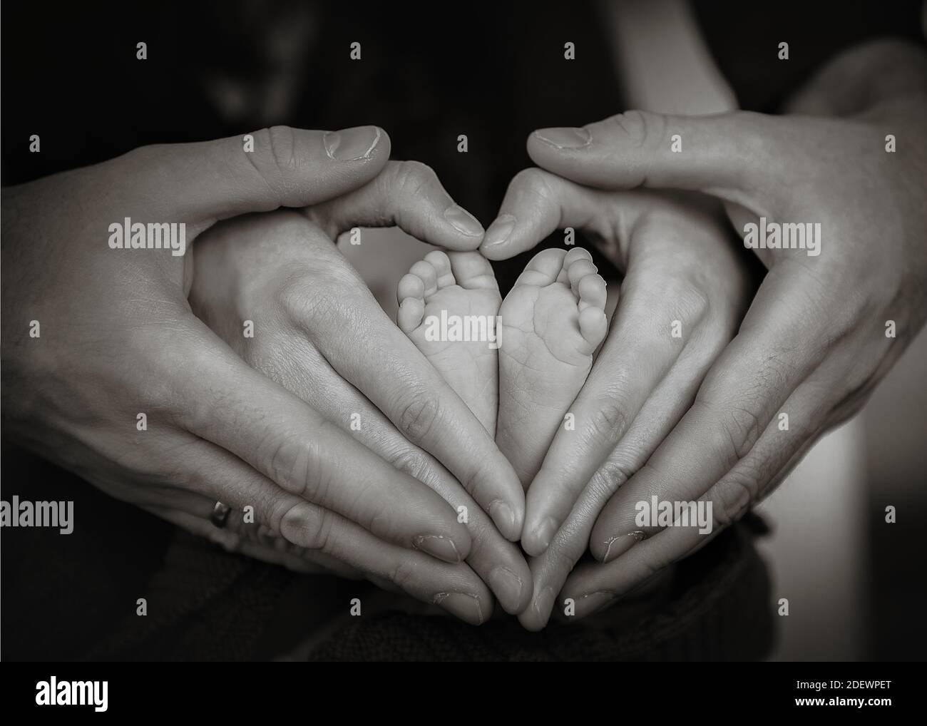 black and white image of newborn baby, father and mother hold baby's ...