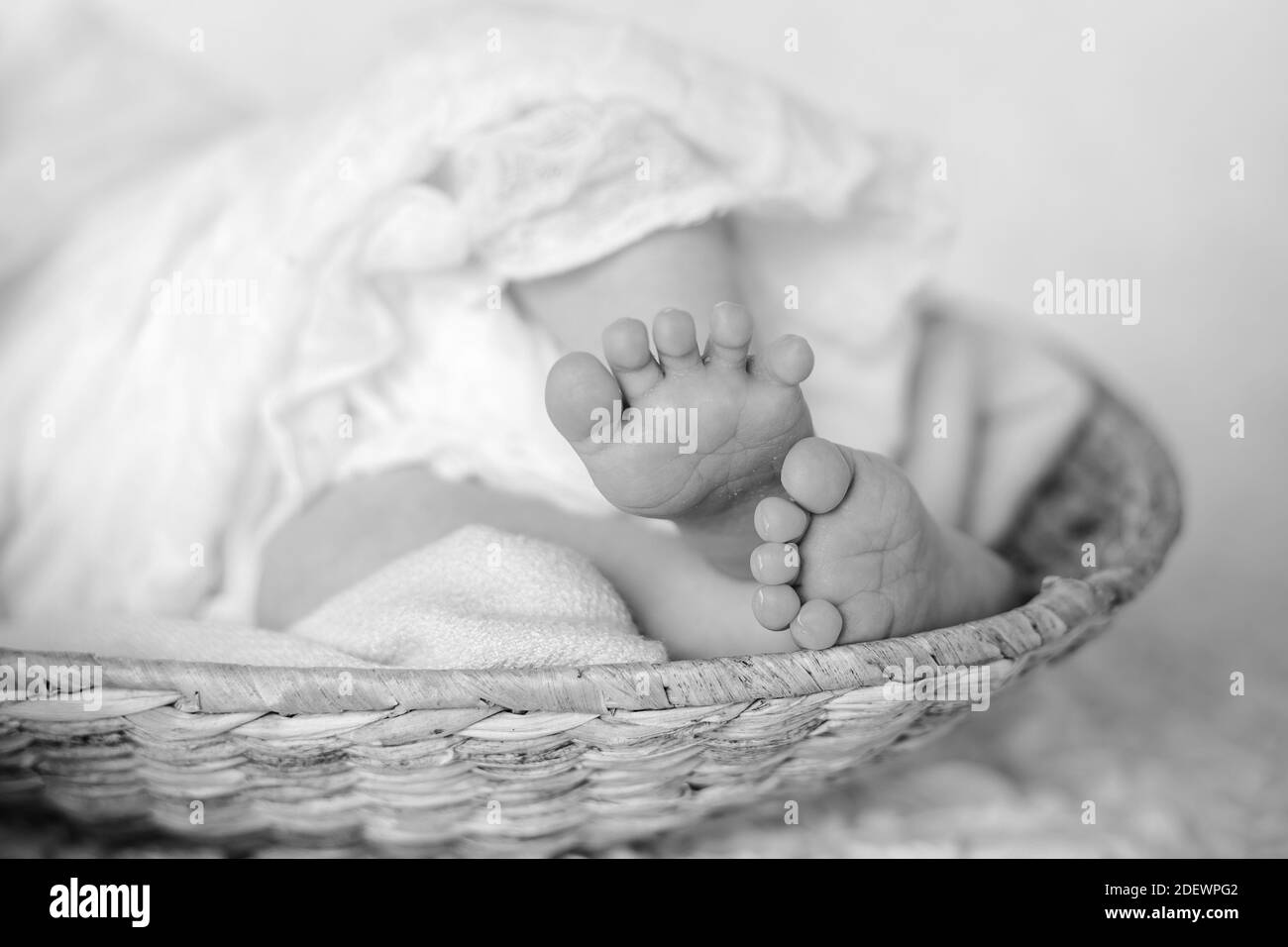 newborn baby feet Stock Photo Alamy
