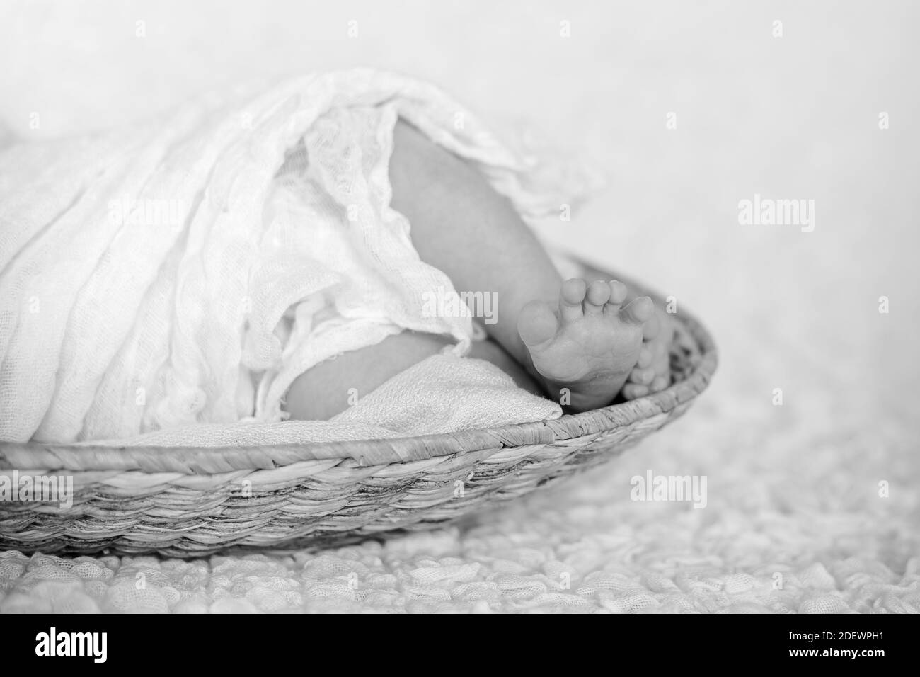 newborn baby feet Stock Photo Alamy
