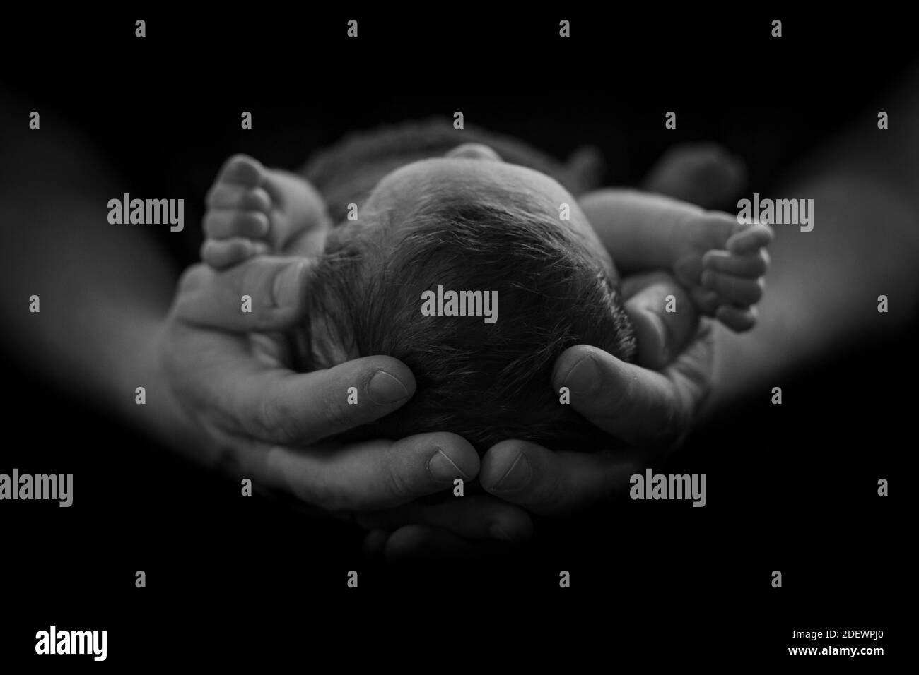 father's hands holding his newborn bab Stock Photo
