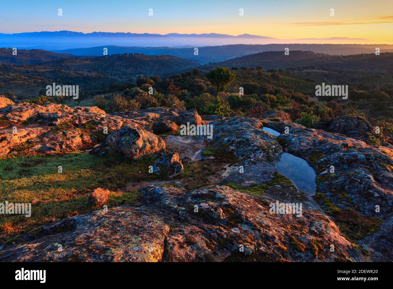 geography / travel, Spain, typical landscape in the national park Sierra de Andújar, Andalusia, Additional-Rights-Clearance-Info-Not-Available Stock Photo