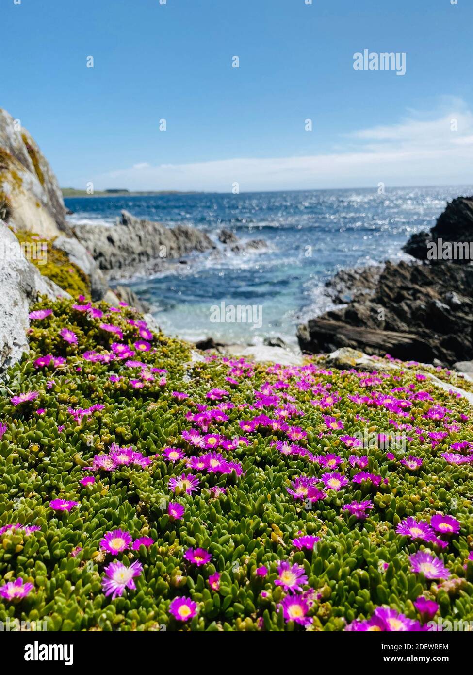 Wellington. 29th Nov, 2020. Photo taken on Nov. 29, 2020 shows a view of Chatham Islands, one of the remote destinations in New Zealand. TO GO WITH "COVID-19 leads a plummet in New Zealand's outbound, inbound tourism" Credit: Lisa Li/Xinhua/Alamy Live News Stock Photo