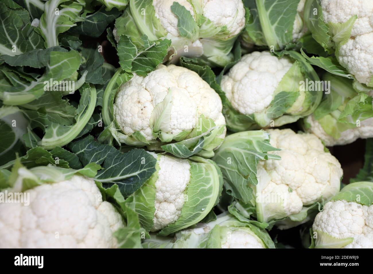 Cauliflower heads with green leaves, close up Stock Photo Alamy