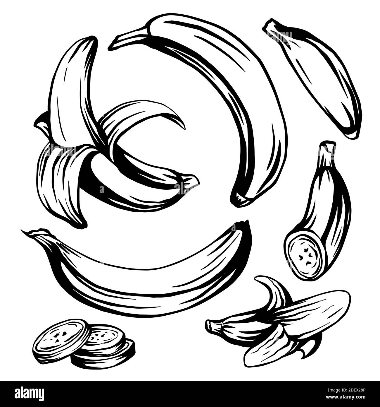 Set of various ink sketch bananas. Whole, ripe, banana slices. A tropical juicy treat. Vector outline object for menus, recipes, postcards and your cr Stock Vector