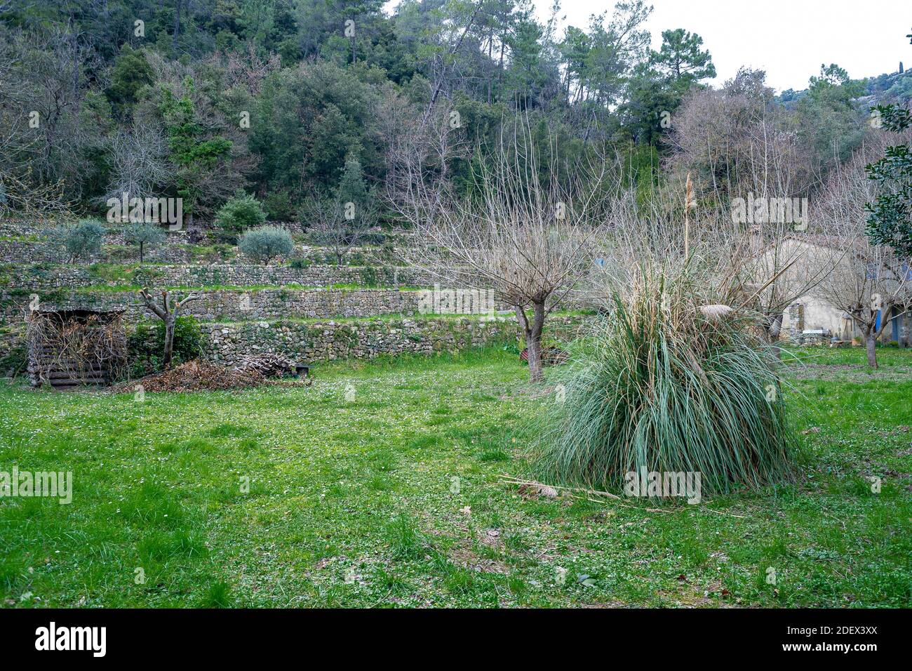 Winter landscape in the hinterland of Provence. Stock Photo