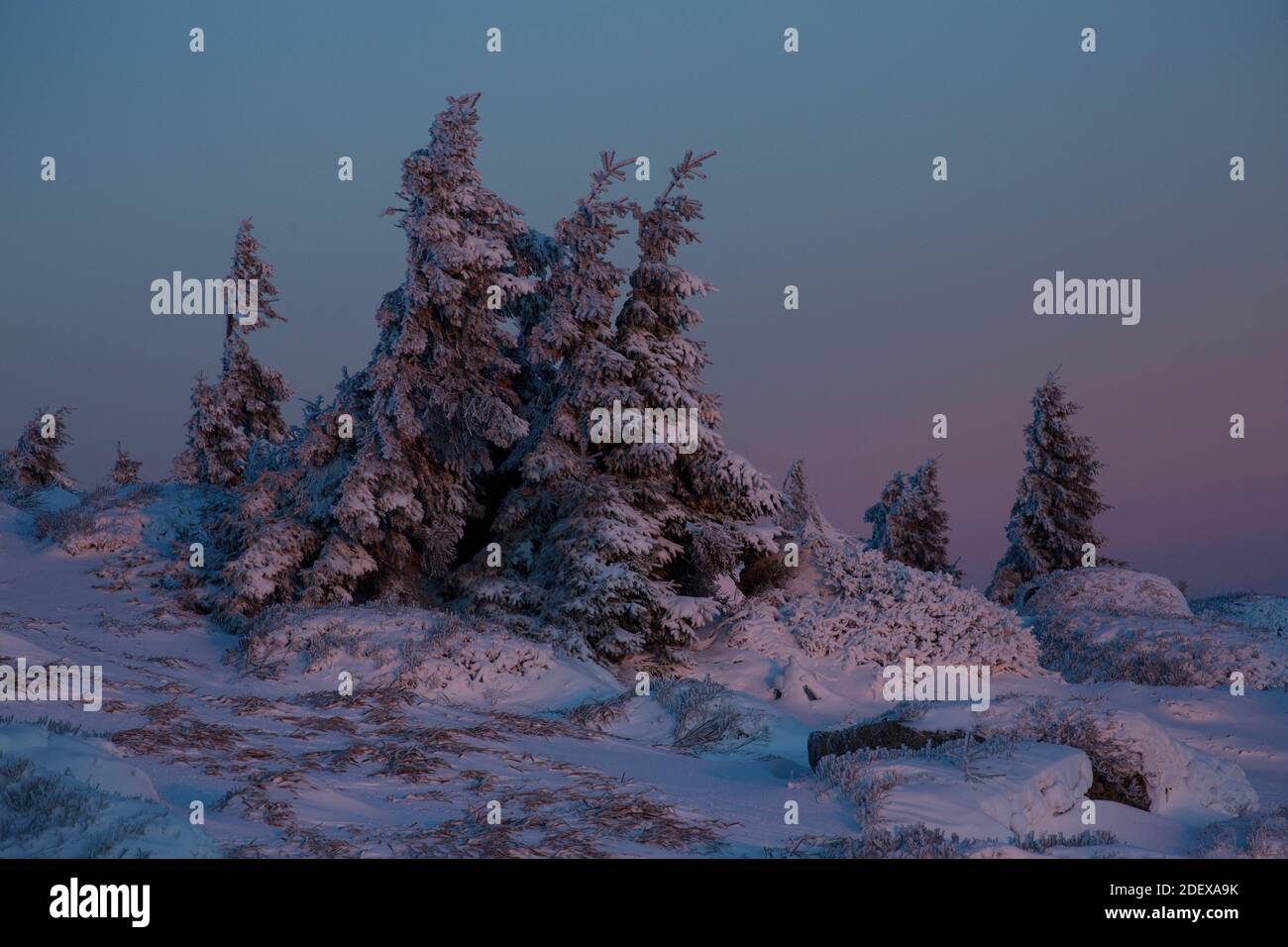 geography / travel, Germany, Saxony-Anhalt, landscapes, winter morning at the Brocken, Additional-Rights-Clearance-Info-Not-Available Stock Photo