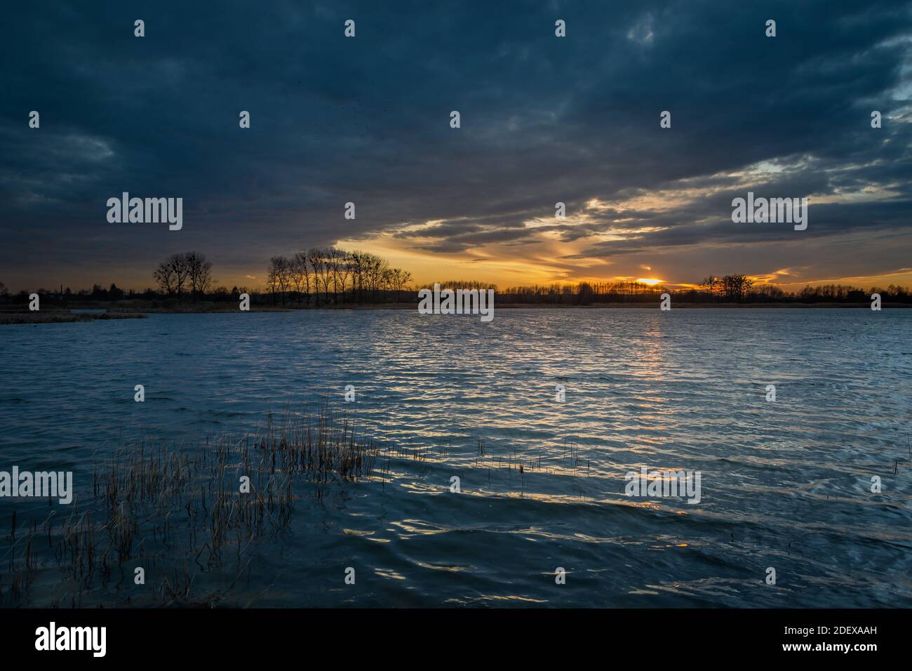 Sunset and dark clouds over the lake with reeds, spring evening view Stock Photo