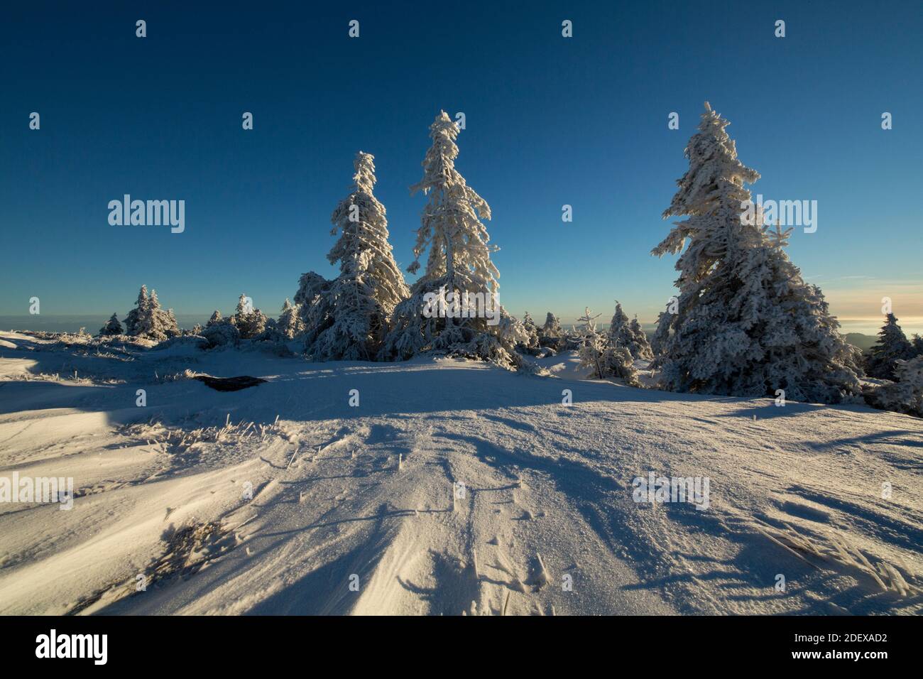 Geography travel germany saxony anhalt landscapes hi-res stock ...