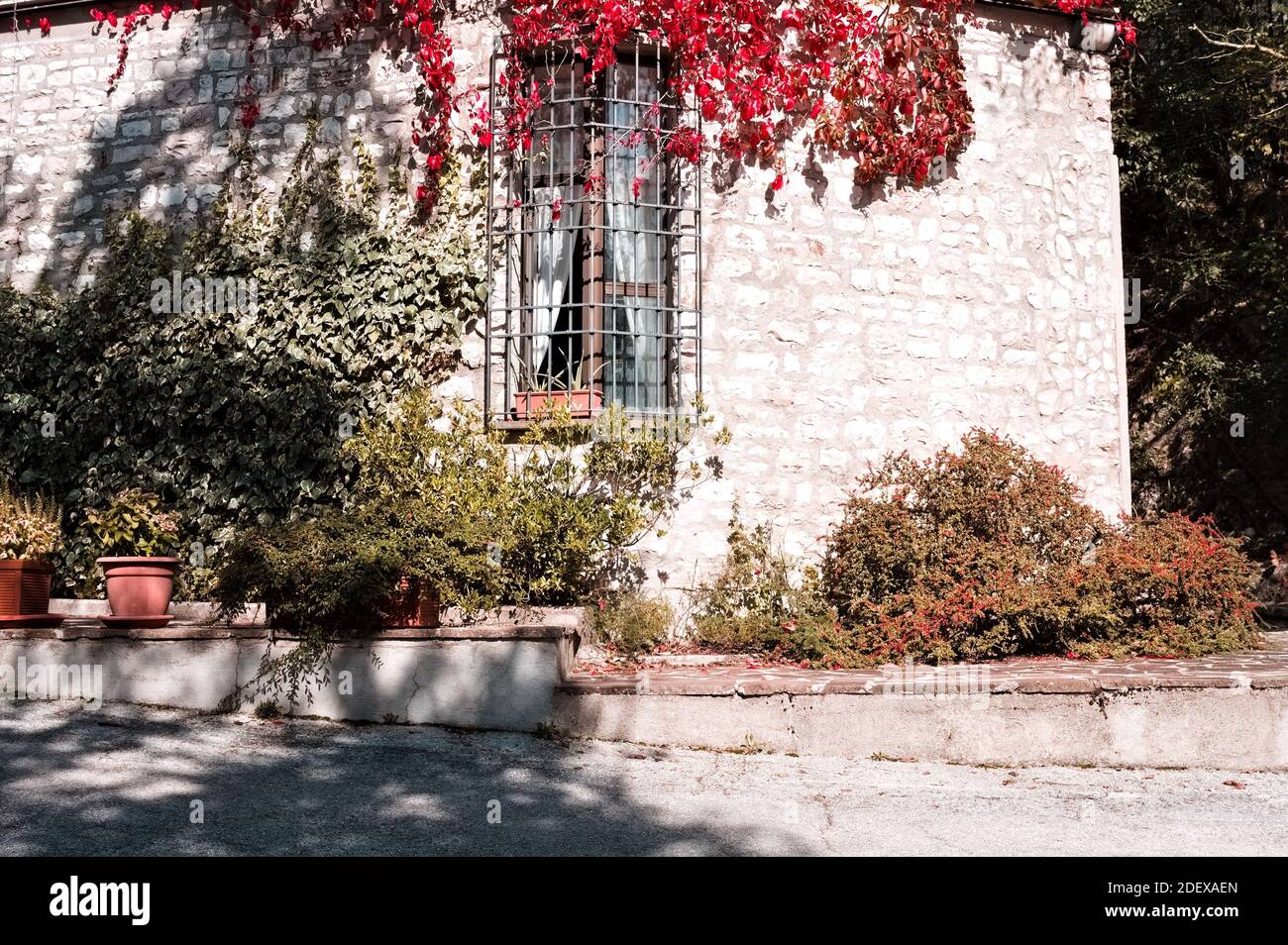 Plants and flowers of a stone house along the street of a medieval ...