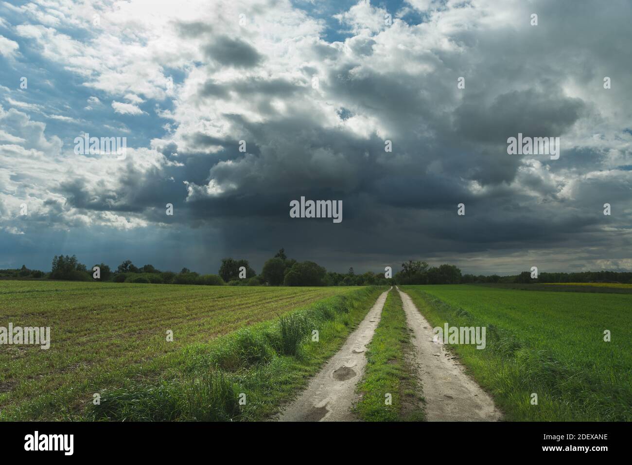 Empty dirt road through fields and a single cloud with rain, spring view, Nowiny, Poland Stock Photo