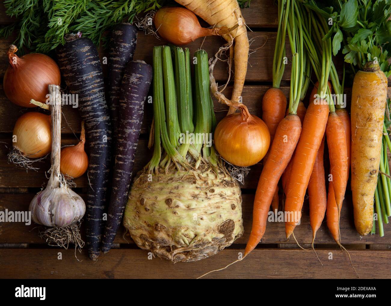 Assortment of colorful root vegetables fresh from the farmer's market including Onions, Garlic, Orange, yellow & Purple Carrots & Celery on wood. Stock Photo