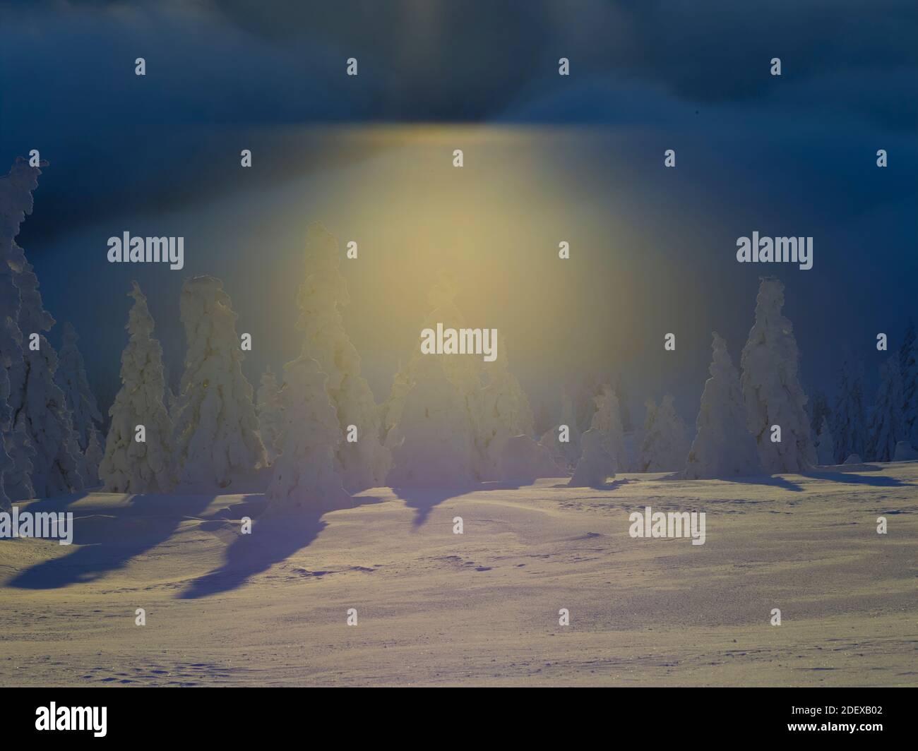 BADEN BADEN GERMANY IN DECEMBER visual data 8