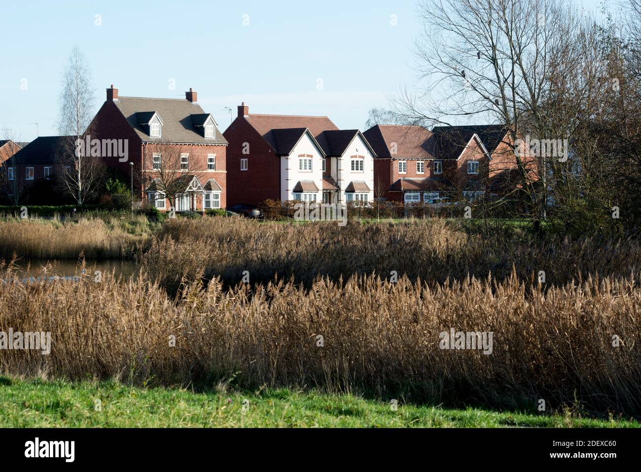 Chase Meadow housing estate, Warwick, Warwickshire, England, UK Stock