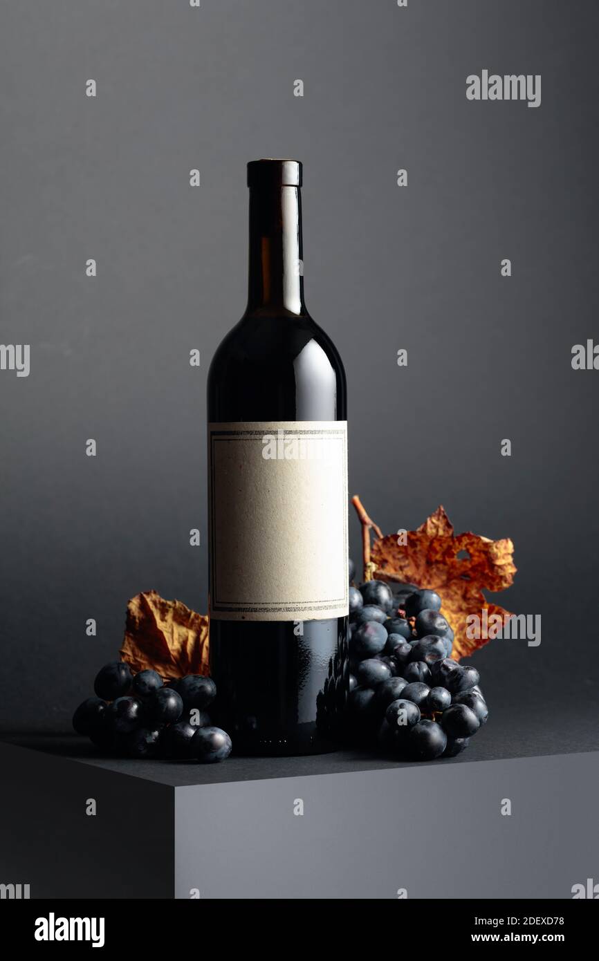 Bottle of red wine and blue grapes with dried up vine leaves on a dark ...