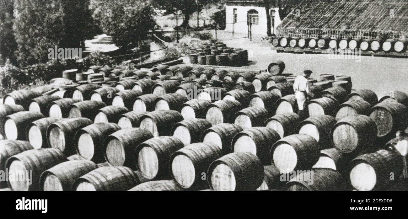 Keeping wines in barrels in the sun. The plant of the Massandra wine factory in the Crimea in the USSR in the 1950s. Stock Photo