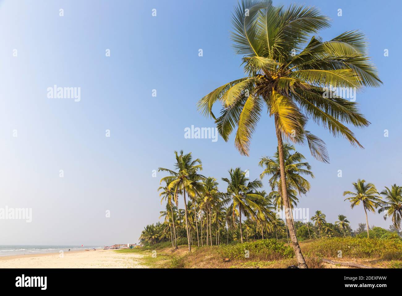 India, Goa, Majorda beach Stock Photo
