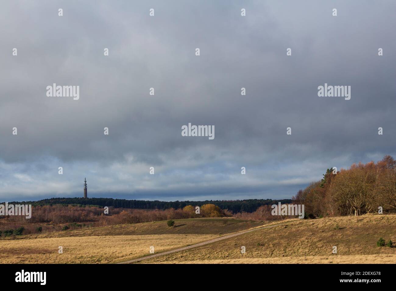 Long distance view of Pye Green Tower from close to Cannock Chase Enterprise Centre / Fives area of Cannock Chase, Staffordshire, England, UK Stock Photo
