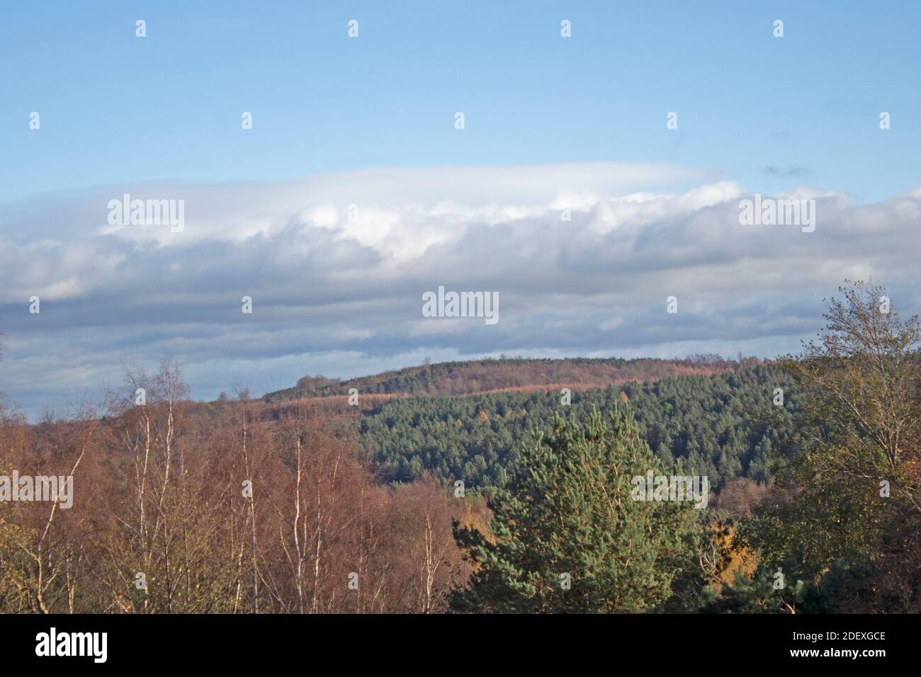 Long distance view of trees and cloud taken from Fives area of Cannock Chase, Staffordshire , England, UK Stock Photo