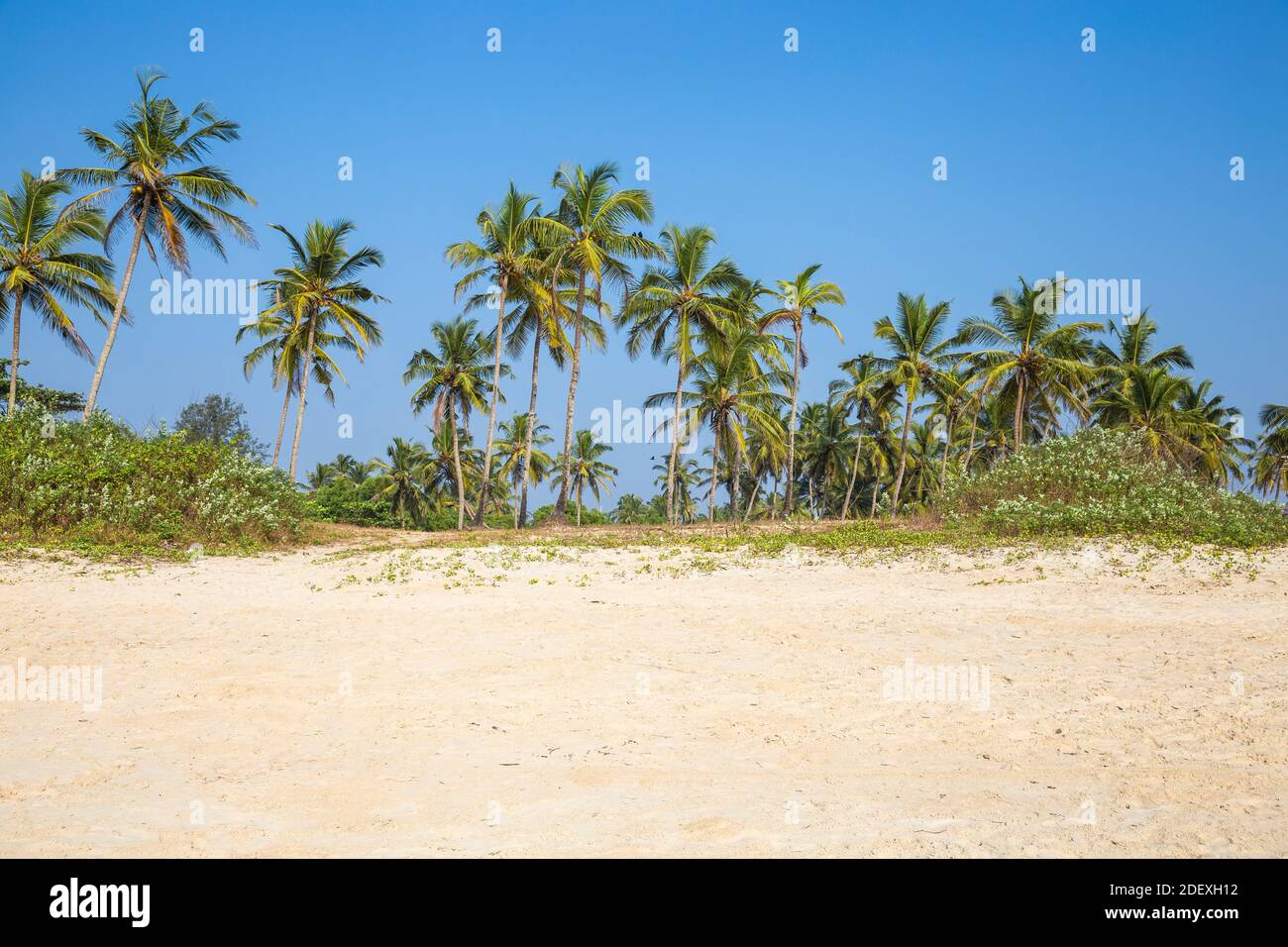 India, Goa, Colva beach Stock Photo - Alamy