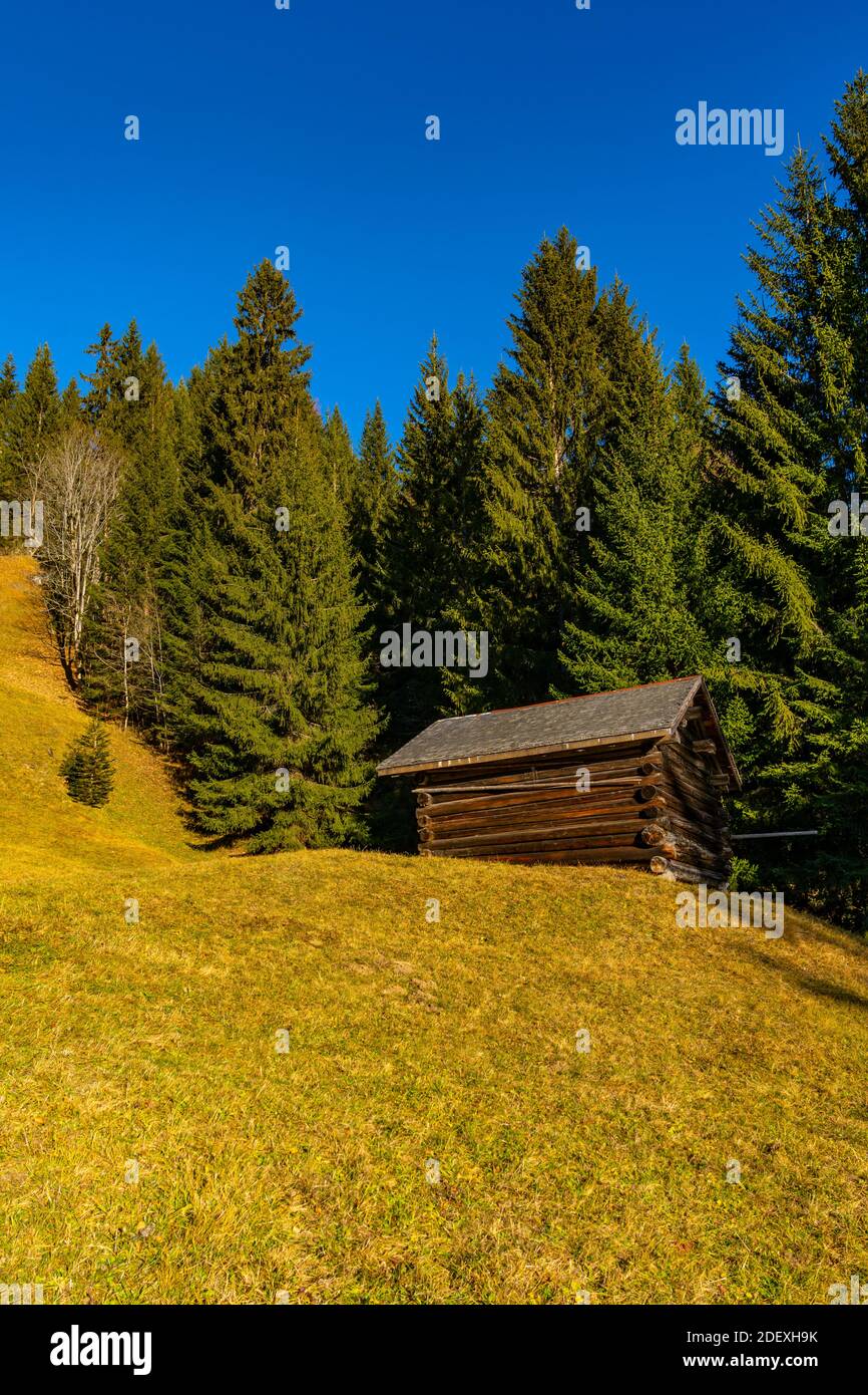 Haus auf dem Weg von Furx zur Alpkopfhütte, altes Haus am Waldrand, auf der herbstlichen Wiese im Vorarlberg. Stock Photo