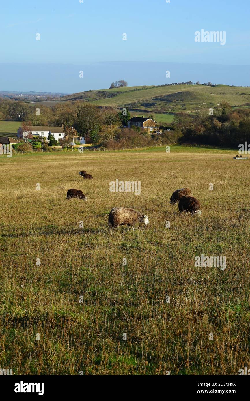 View across to Pegsdon village and the Knocking Hoe Nature Reserve Stock Photo