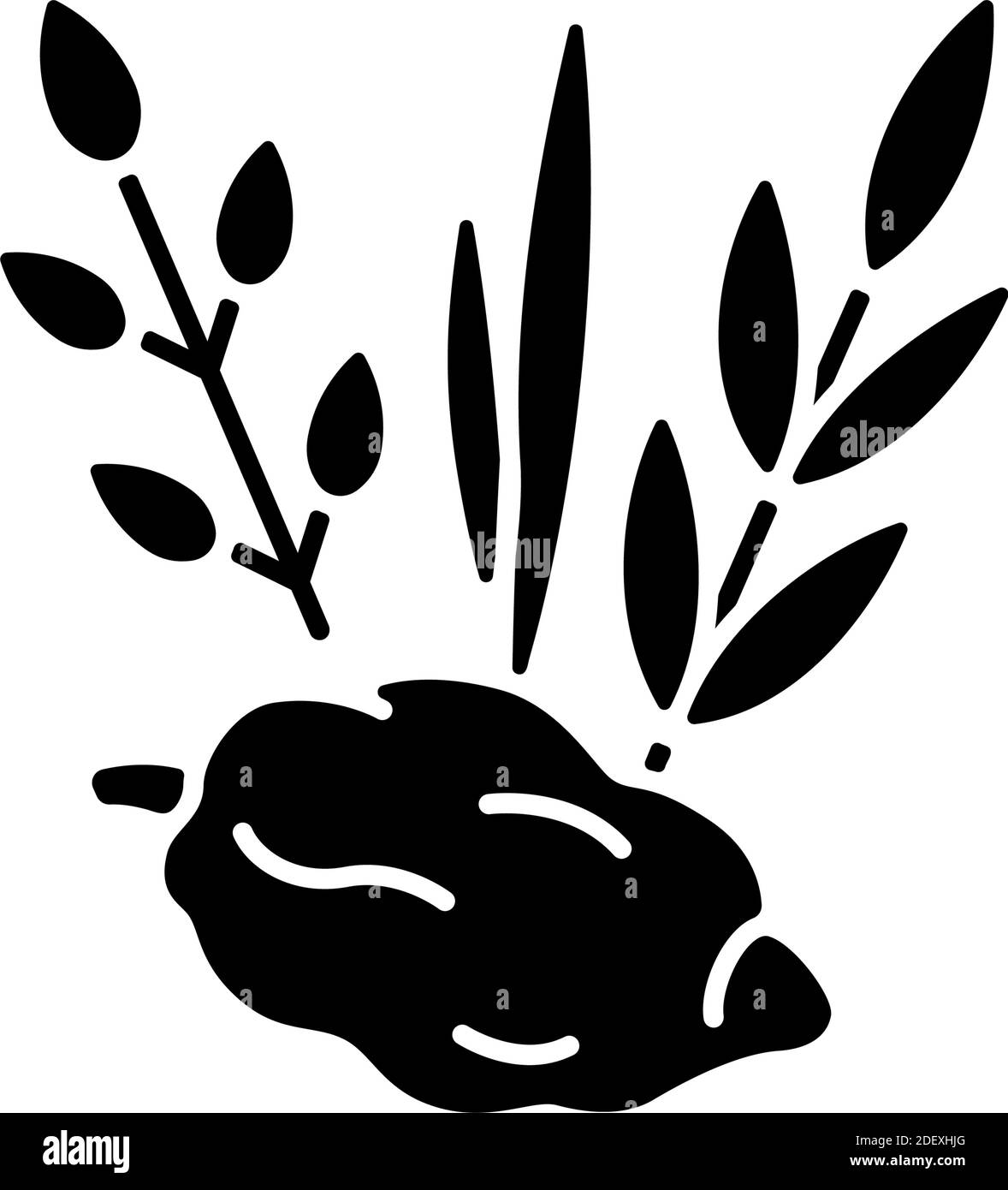 Four species lulav hadas Stock Vector Images - Alamy