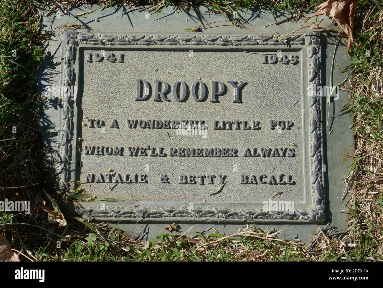 Calabasas, California, USA 1st December 2020 A general view of