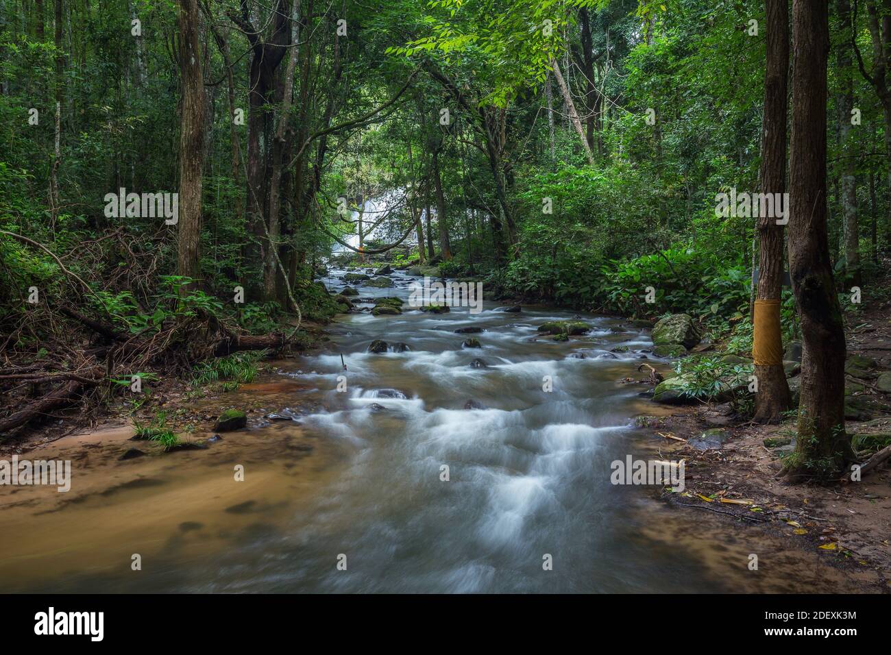lot of natural green stones in the middle of the water from beautiful waterfall refreshing for rainforest ecotourism Stock Photo