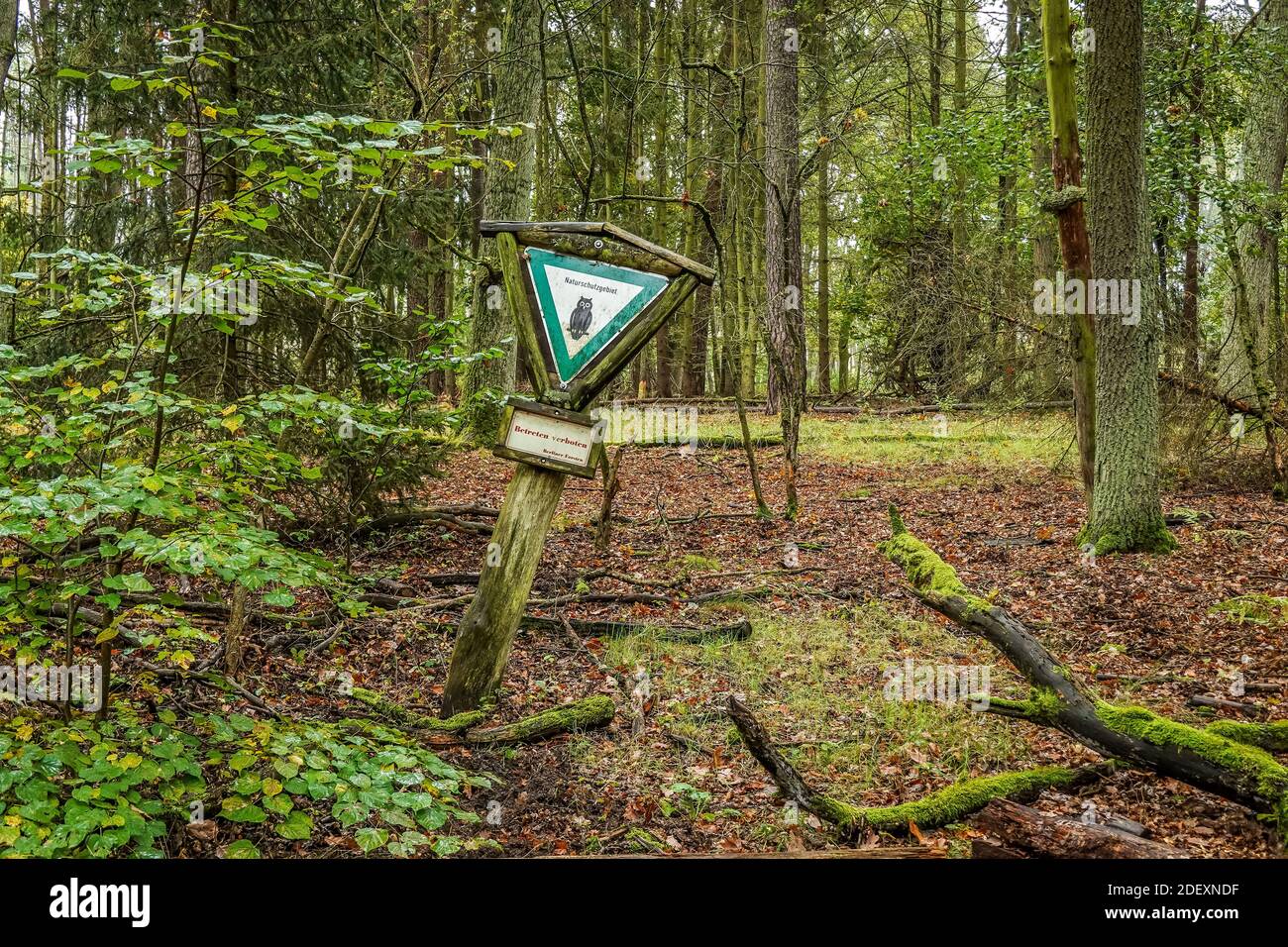 Schild, Naturschutzgebiet, Wald, Spandauer Forst, Hakenfelde, Spandau, Berlin, Deutschland Stock Photo