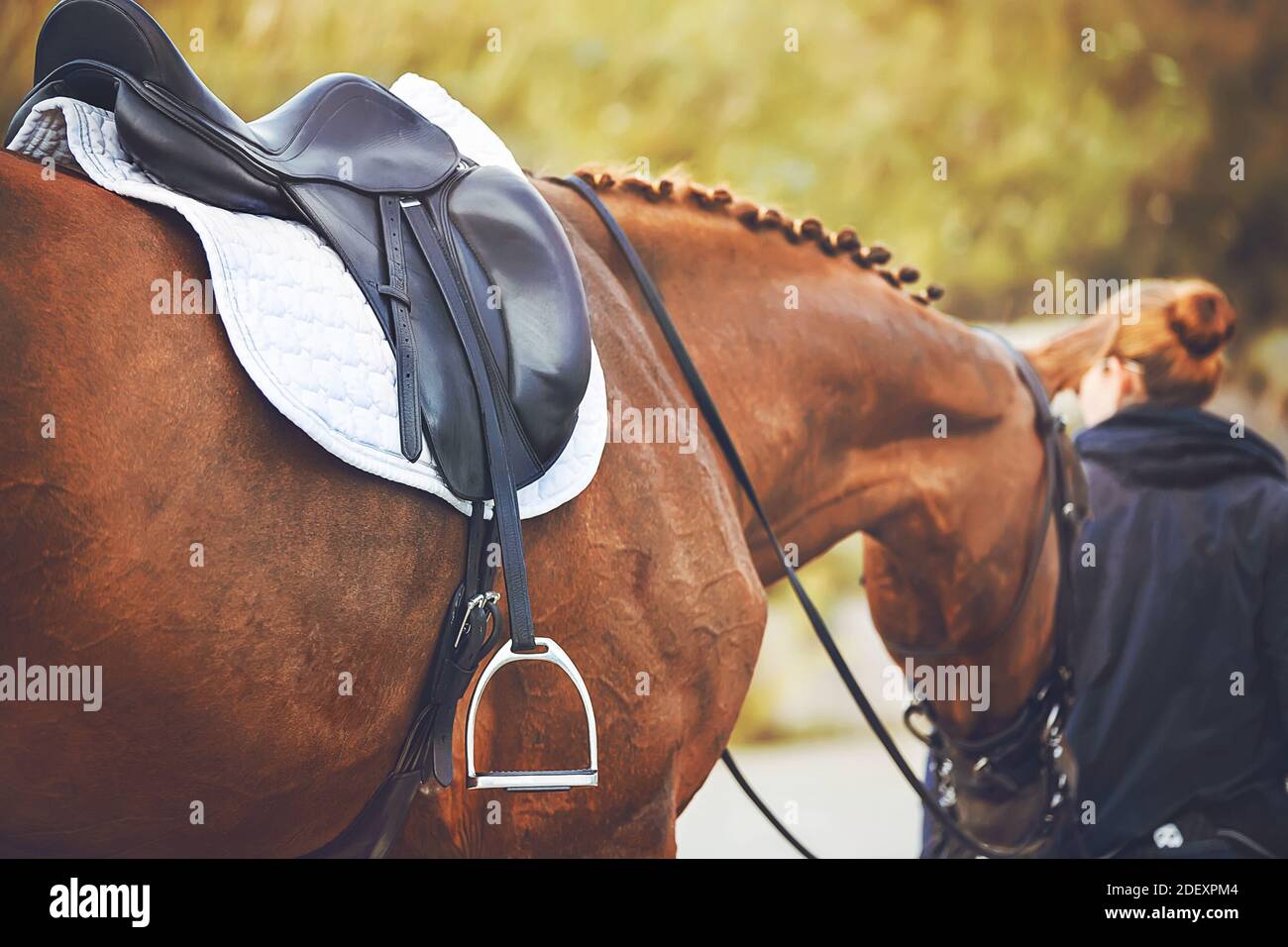 A redhaired rider leads a sorrel saddled horse by the bridle on a