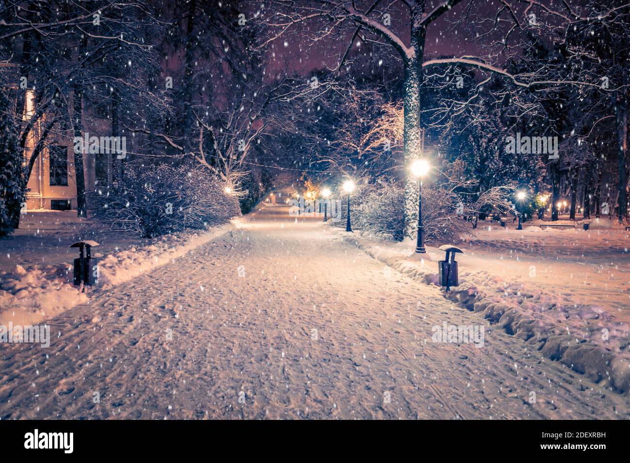 Winter night park with lanterns, pavement and trees covered with snow ...