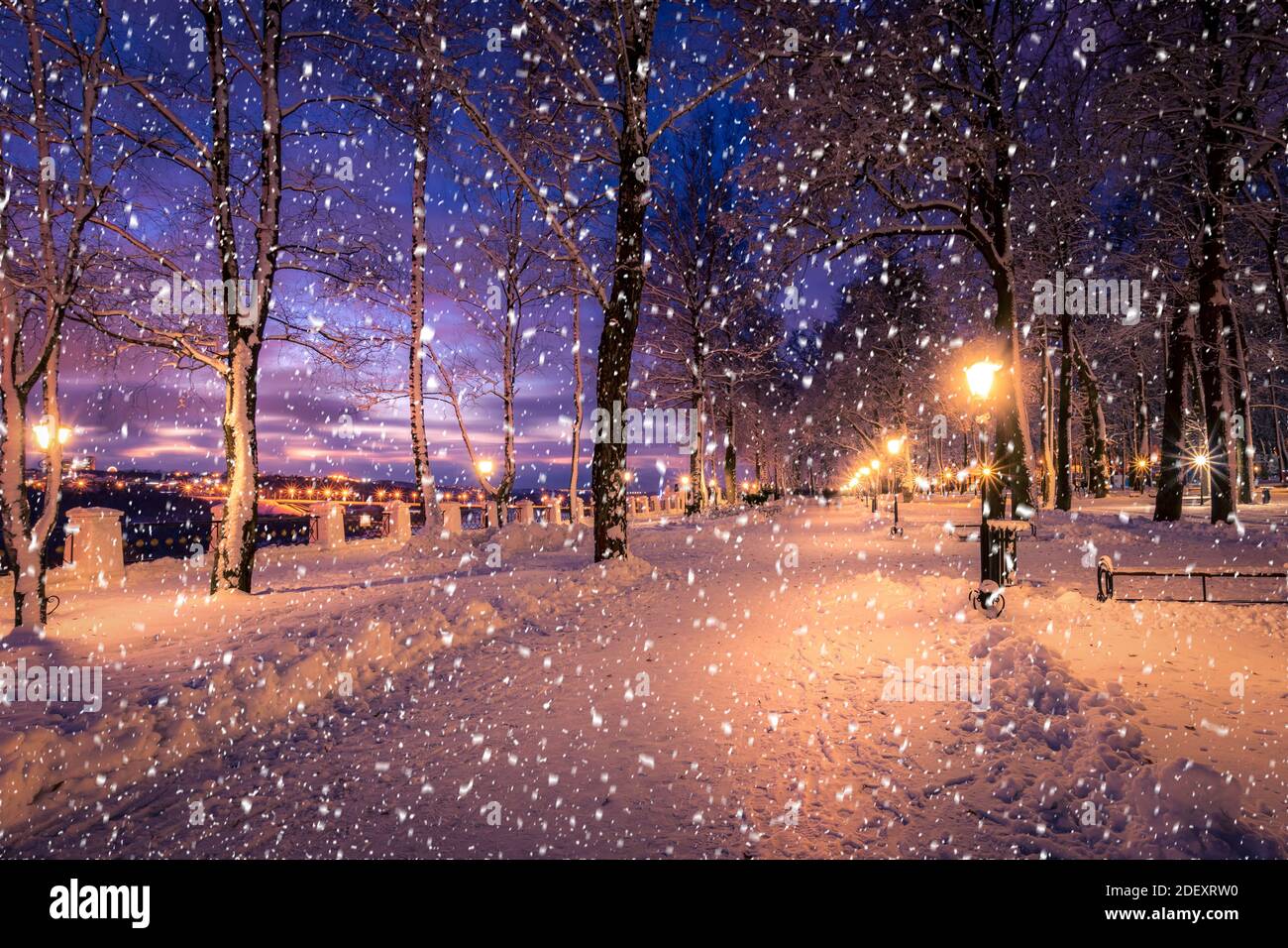 Winter night park with lanterns, pavement and trees covered with snow ...