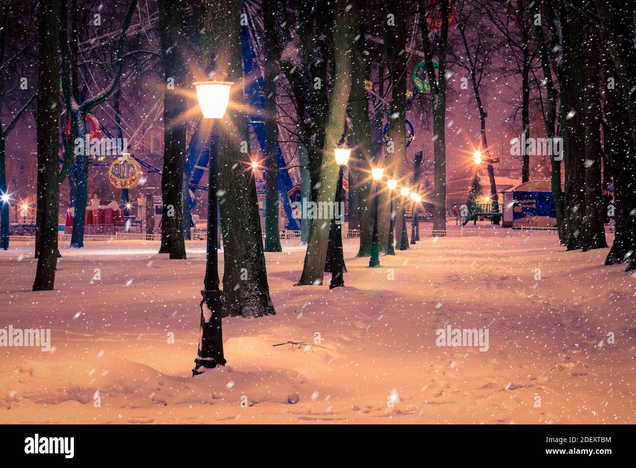 Winter night park with lanterns, pavement and trees covered with snow ...