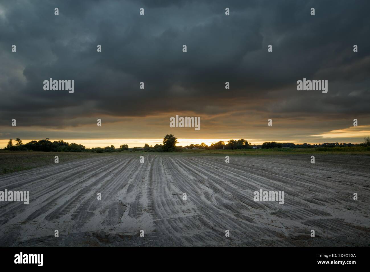 Dark storm clouds over the sown field, summer view Stock Photo