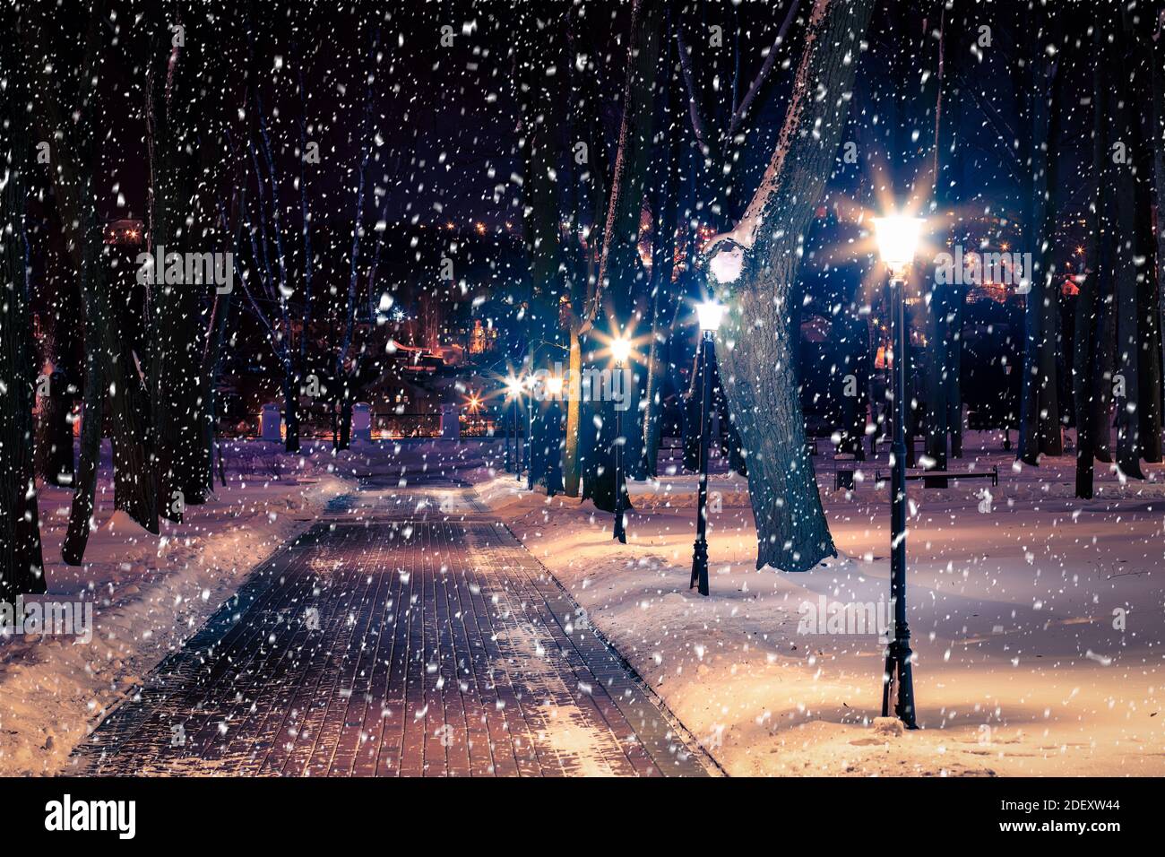 Winter night park with lanterns, pavement and trees covered with snow ...