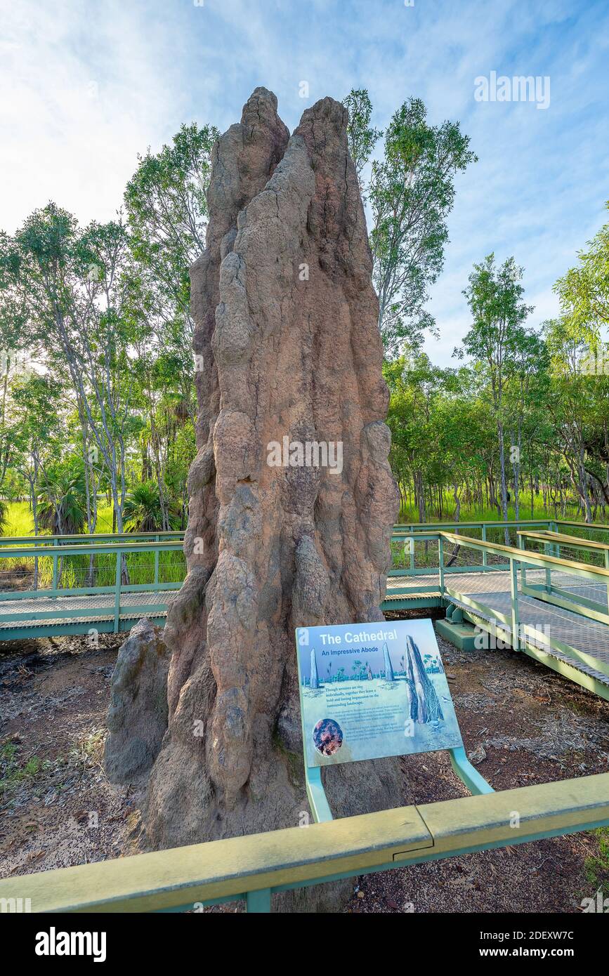 Litchfield National Park, Northern Territory, Australia - A cathedral termite mound in the Litchfield National Park. Stock Photo