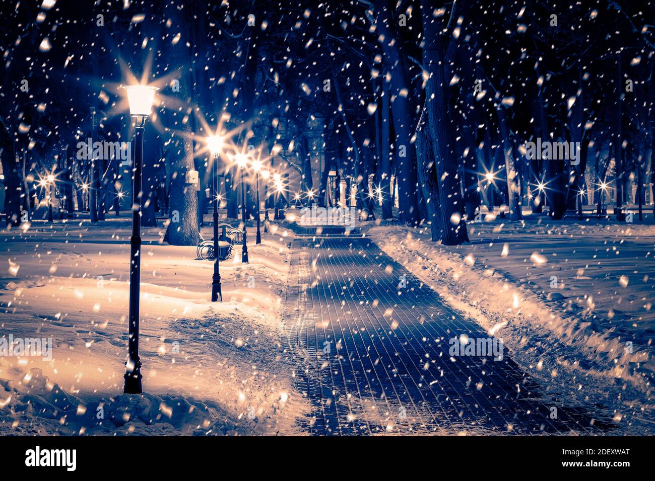 Winter night park with lanterns, pavement and trees covered with snow ...