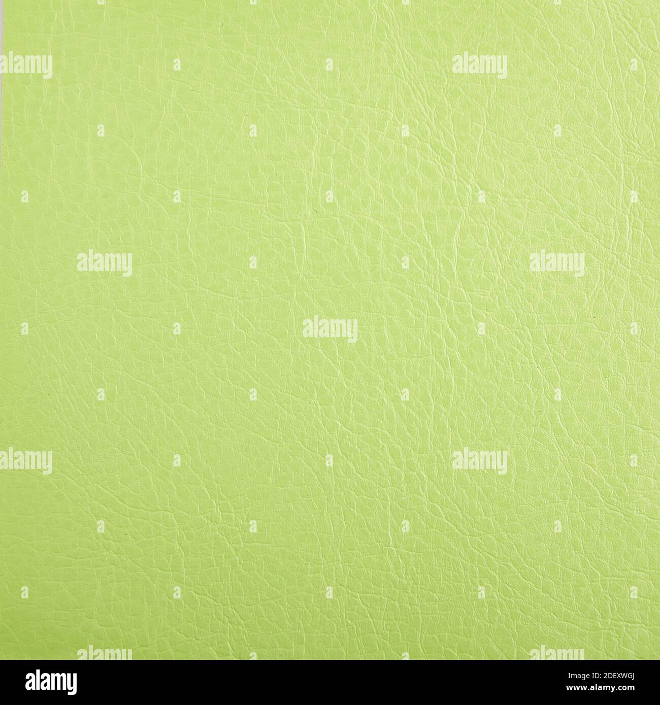 Premium light green leather texture background for decor Stock Photo